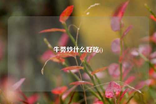 牛蒡炒什么好吃()