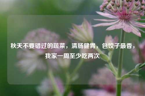 秋天不要錯過的蔬菜，清腸健胃，包餃子最香，我家一周至少吃兩次