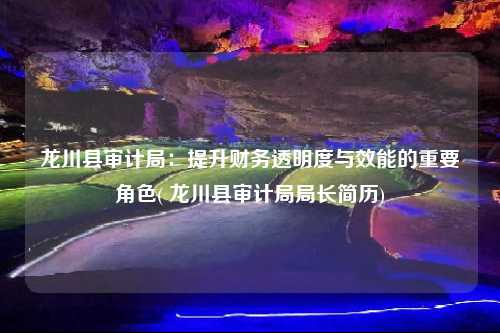 龍川縣審計局：提升財務透明度與效能的重要角色( 龍川縣審計局局長簡歷)