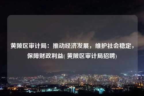 黃陂區審計局：推動經濟發展，維護社會穩定，保障財政利益( 黃陂區審計局招聘)